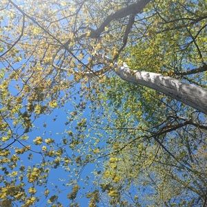 Meet your Posher, Ingrid